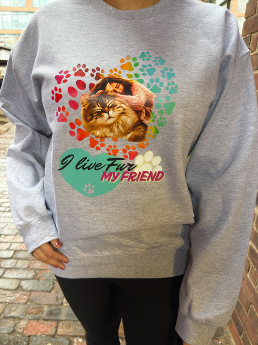 I Live FUR My Friend – Maine Coon Cat